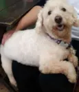 Nick