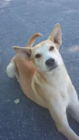 JUJU/LORINHA