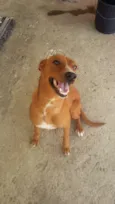 JUJU/LORINHA