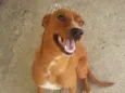 JUJU/LORINHA