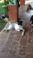 Zé