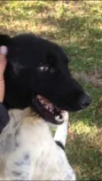 Zé