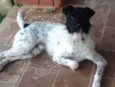 Zé