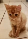 Tito 