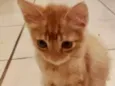 Tito 