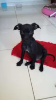 Ted