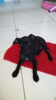 Ted