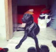 Fred