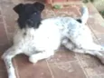 Zé