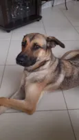 Teca
