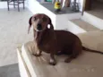 esperando adoçao