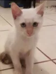 George