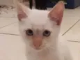 George
