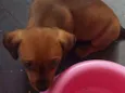 ????