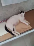 Matilda