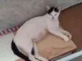 Matilda