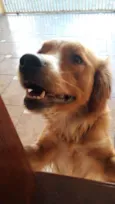 Mel