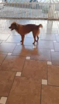 Mel