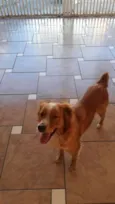 Mel