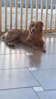 Mel