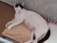 Matilda