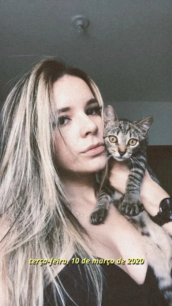 Gato ra a Vira lata  idade 2 a 6 meses nome Anastácia e Diana 