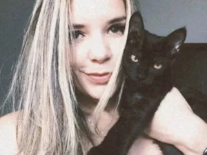 Gato raça Vira lata  idade 2 a 6 meses nome Anastácia e Diana 