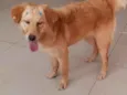 Mel