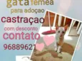 Filhote