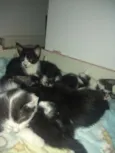 Todos lindos