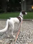 Lola