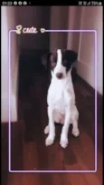 Lola