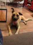 Mel