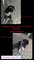 Desconhecido
