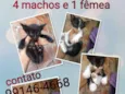Sem nomes