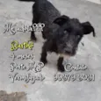 Bartho