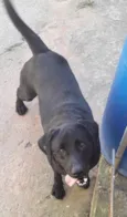 Buster