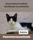Naomi Catbell