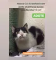 Cat Crawford
