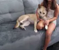 Izabela