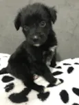 BABU