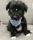BABU