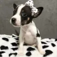 MANU