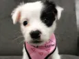 MOLLY