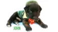 Johnn