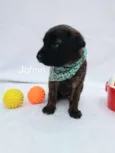 Johnn