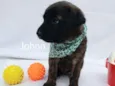 Johnn