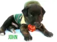 Johnn