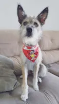 Fiona