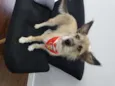 Fiona